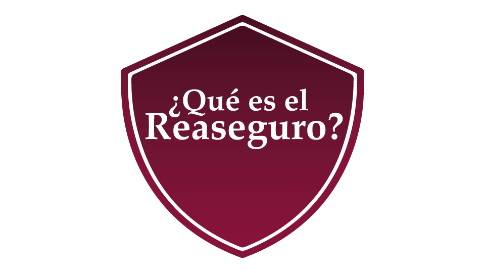 ¿Qué es el Reaseguro? Nociones básicas Image