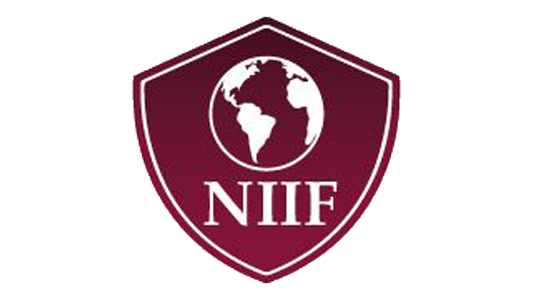 Normas Internacionales de Información Financiera 17 Image